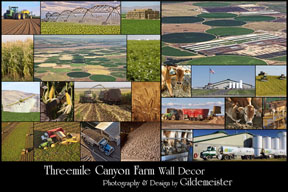RD Offutt Three-Mile Canyon Farms wall decor - by Gildemeister